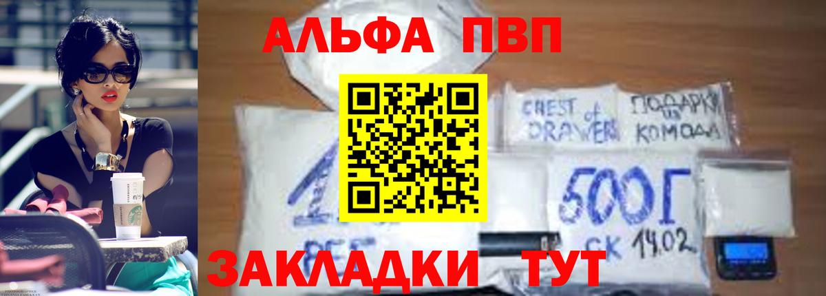 Alfa_PVP СК Ачхой-Мартан