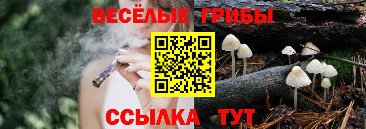 купить наркотики сайты  Псилоцибиновые грибы GOLDEN TEACHER  Вход с VPN  Ачхой-Мартан  Галлюциногенные грибы ЛСД 