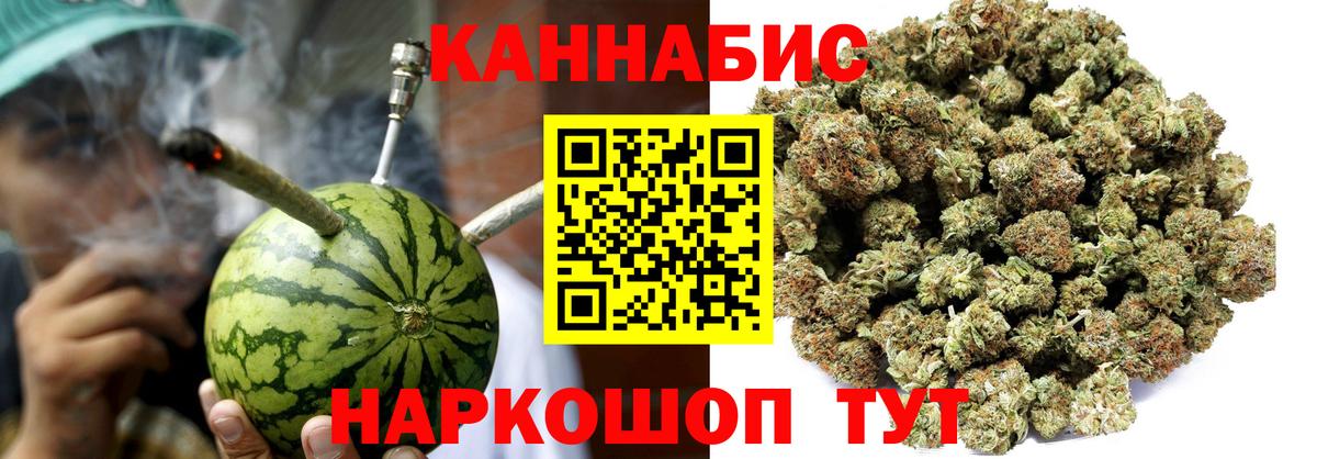 Конопля конопля Ачхой-Мартан